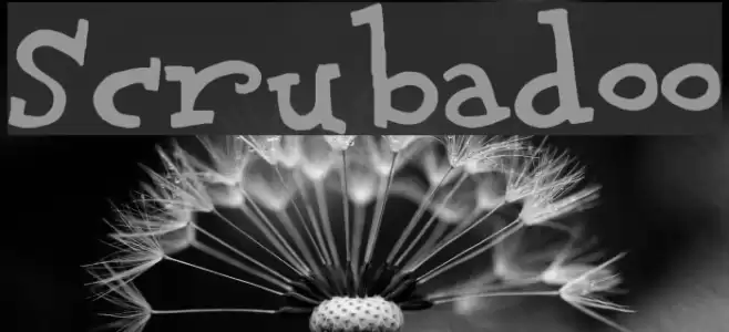 Scrubadoo Font examples