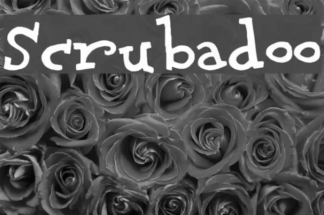 Scrubadoo Font examples