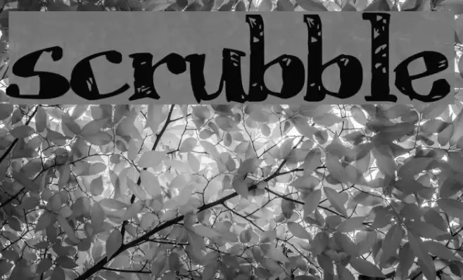 Scrubble フォント examples
