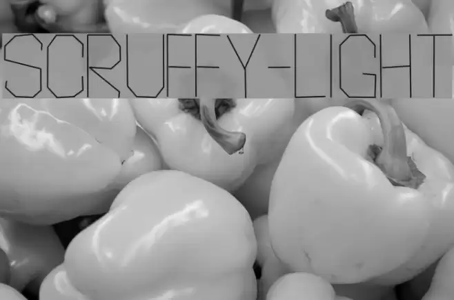 Scruffy-Light Font examples