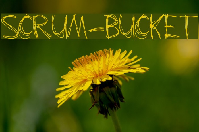 Scrum-Bucket Font examples