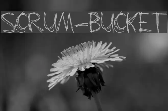 Scrum-Bucket Fuentes examples