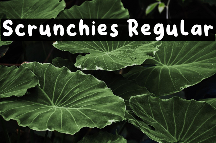 Scrunchies Regular Example 2