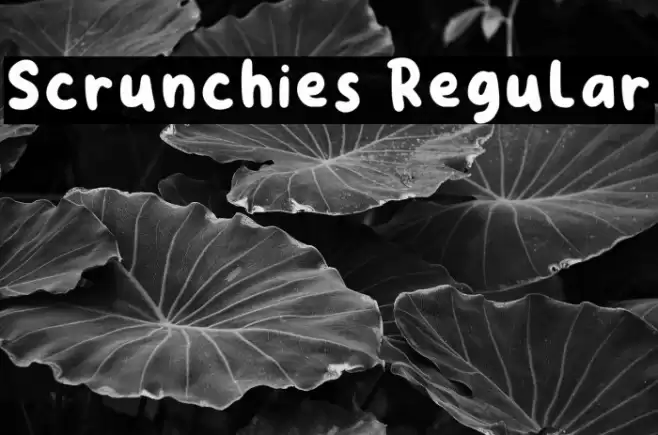 Scrunchies Regular Font examples