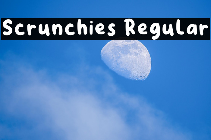 Scrunchies Regular Example 3