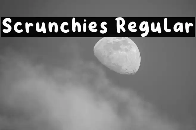Scrunchies Regular Font examples