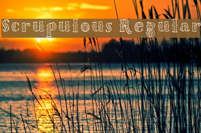 Scrupulous Regular Font examples