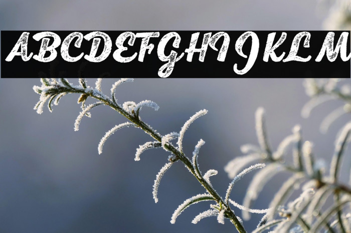 Scrypta Personal Use Bold Italic Example 1