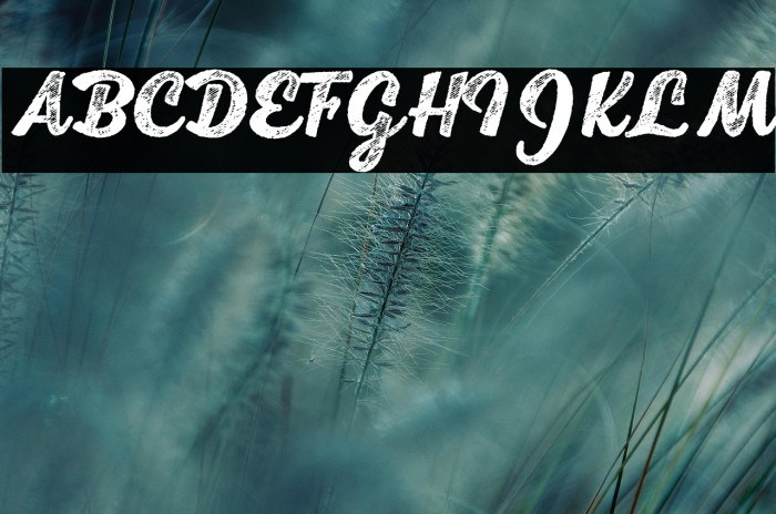 Scrypta Personal Use Bold Italic Example 2