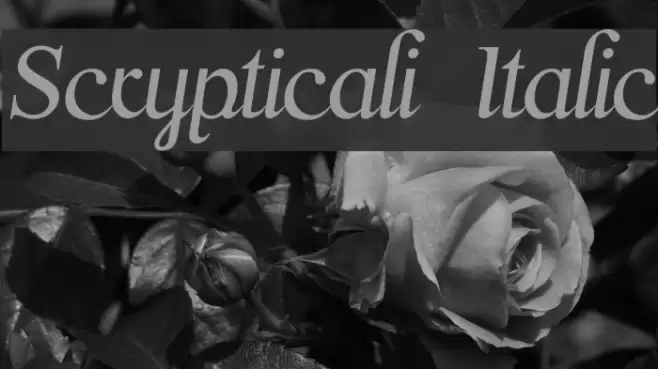 Scrypticali Italic Font examples