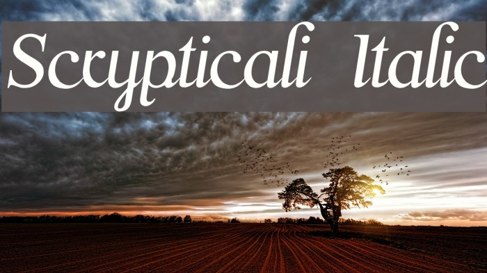 Scrypticali Italic फ़ॉन्ट examples