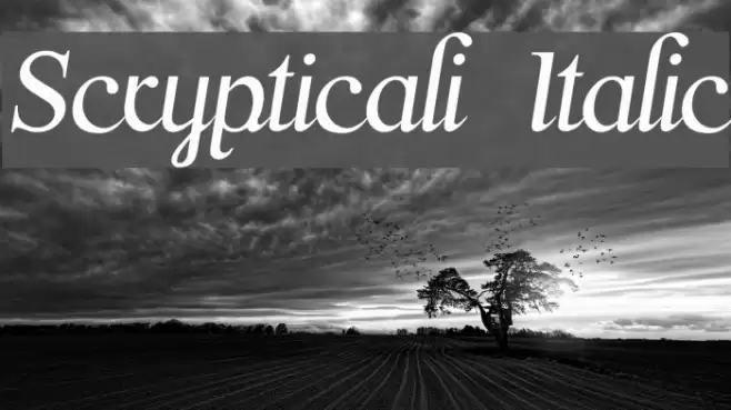Scrypticali Italic Font examples