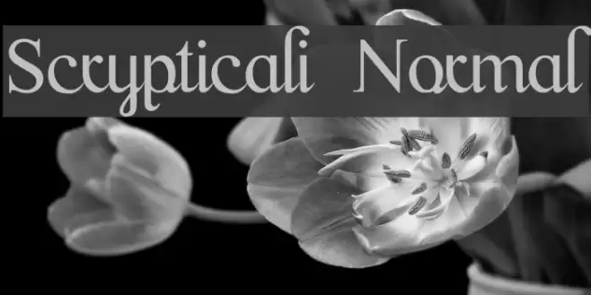 Scrypticali Normal Font examples