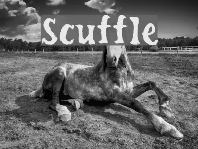 Scuffle Font examples