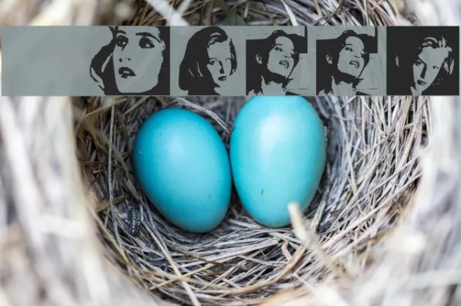 Scully Example 3