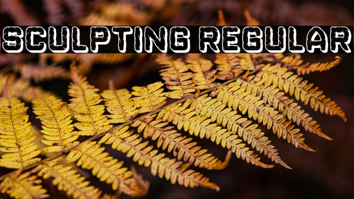 Sculpting Regular Example 3