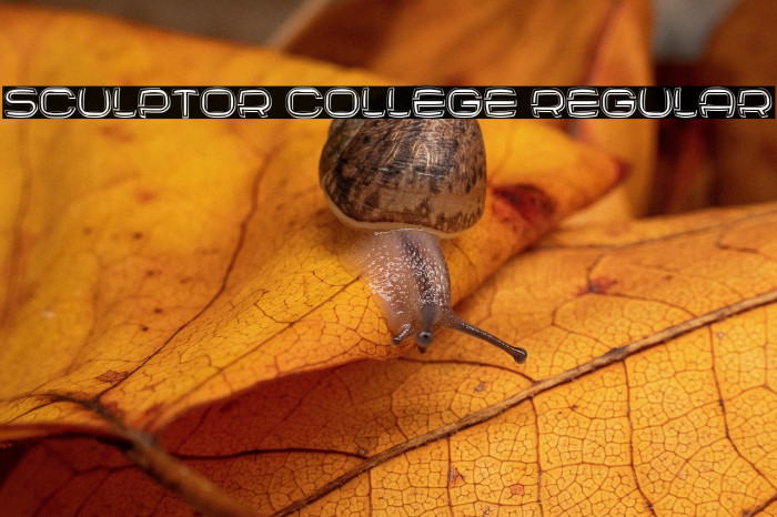 Sculptor College Regular Example 1