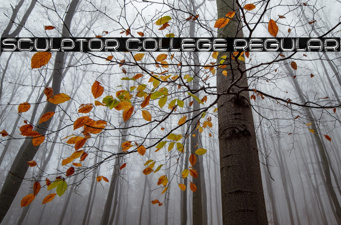 Sculptor College Regular Example 2