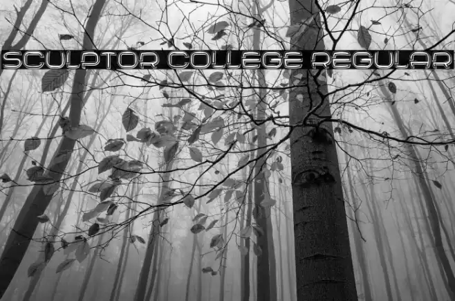 Sculptor College Regular Font examples