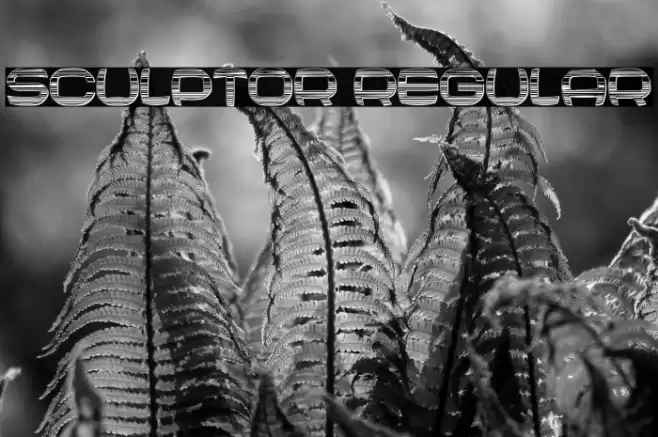 Sculptor Regular Font examples
