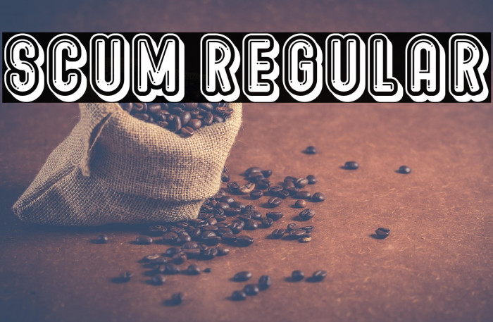 Scum Regular Example 1