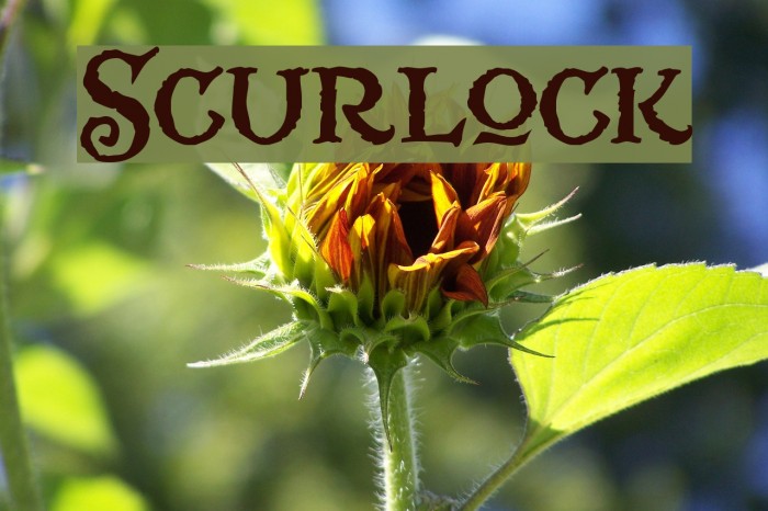 Scurlock Font examples
