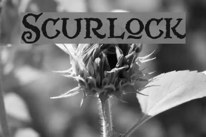 Scurlock フォント examples