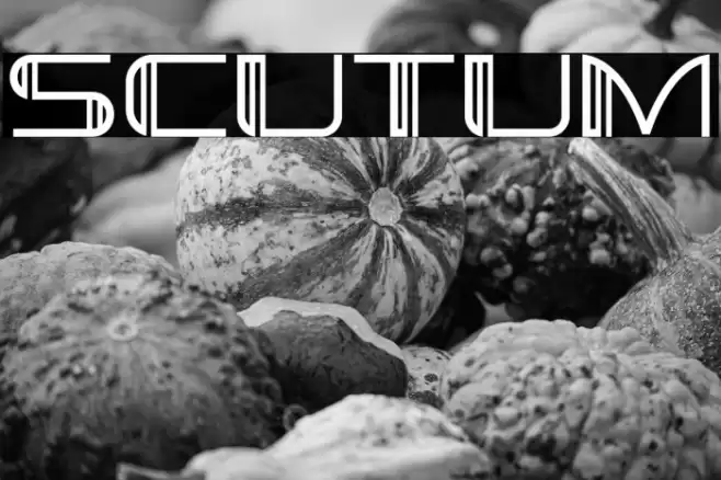 Scutum Schriftart examples