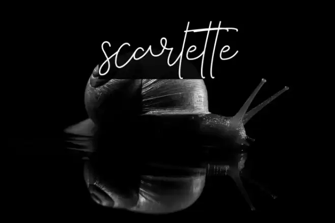 scarlette Font examples