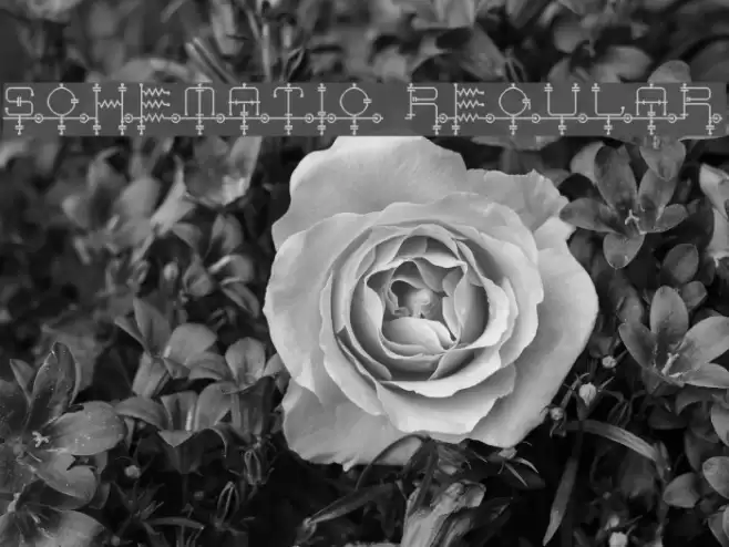 schematic Regular Font examples