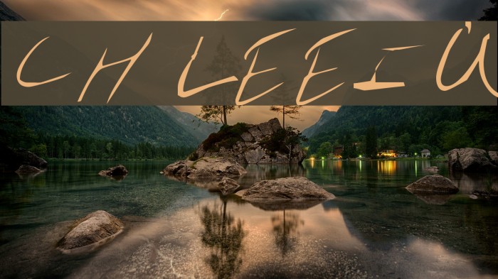 schleterian Example 2