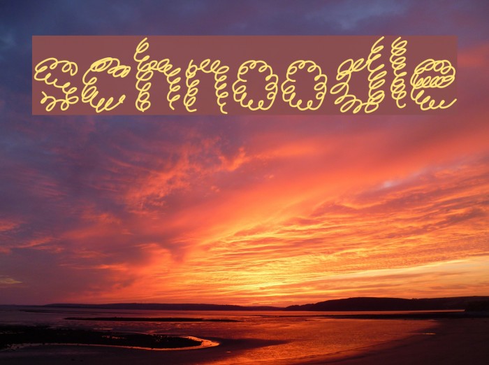 schnoodle Font examples