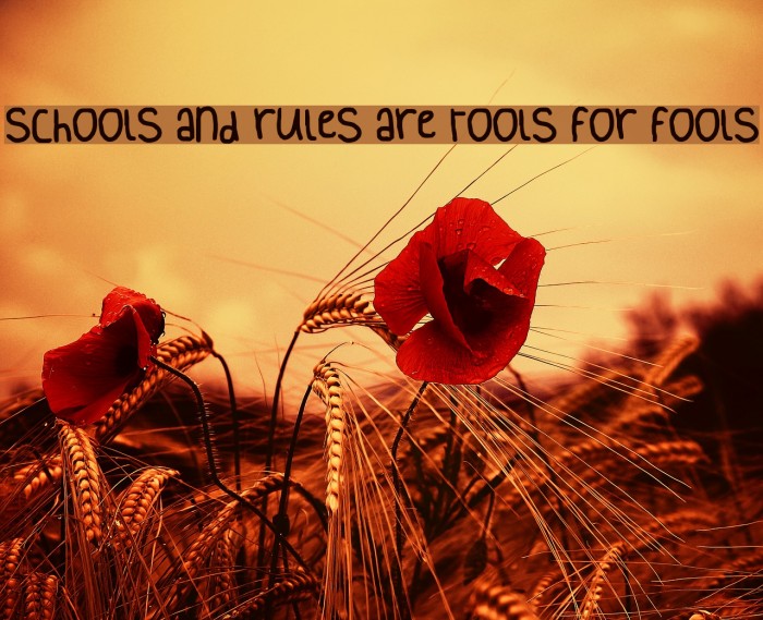 schools and rules are tools for fools Font examples