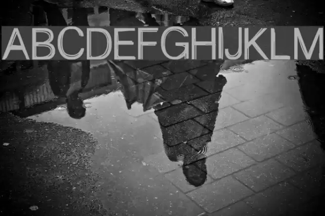 sciallo Font examples