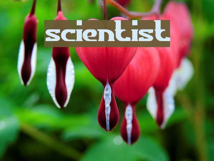 scientist Font examples