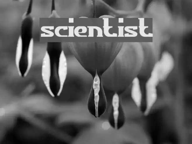 scientist Font examples