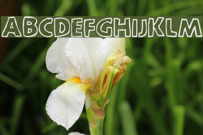 scootch over [sans] Example 1