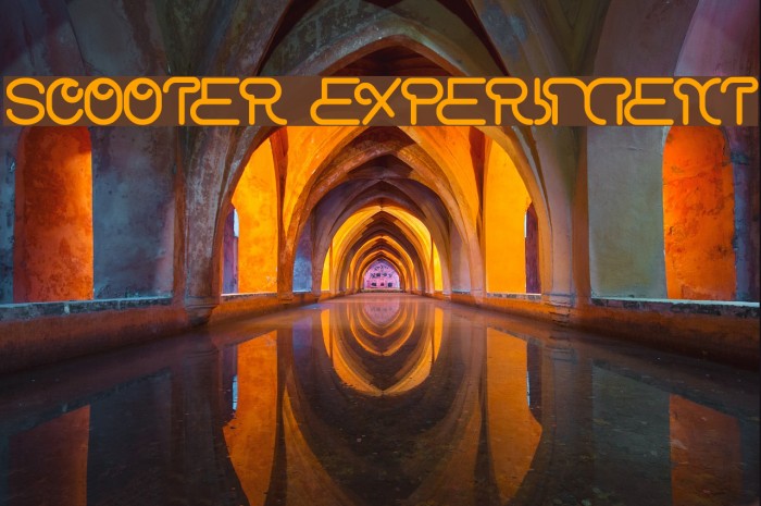 scooter experiment Example 3