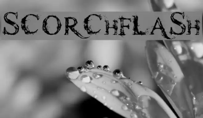 scorchflash Font examples