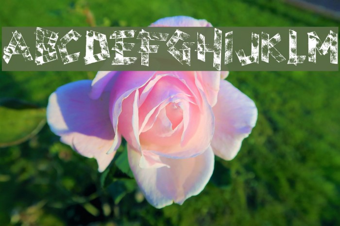 scotch taped Example 1