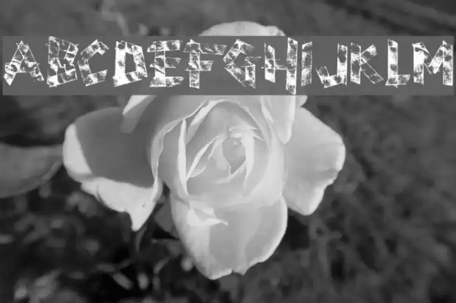 scotch taped Font examples