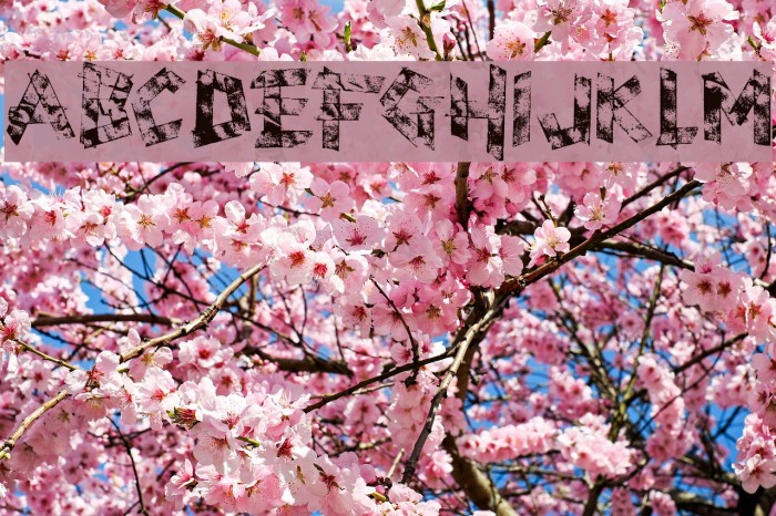 scotch taped Example 3