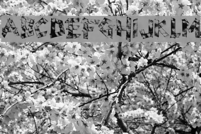 scotch taped Font examples