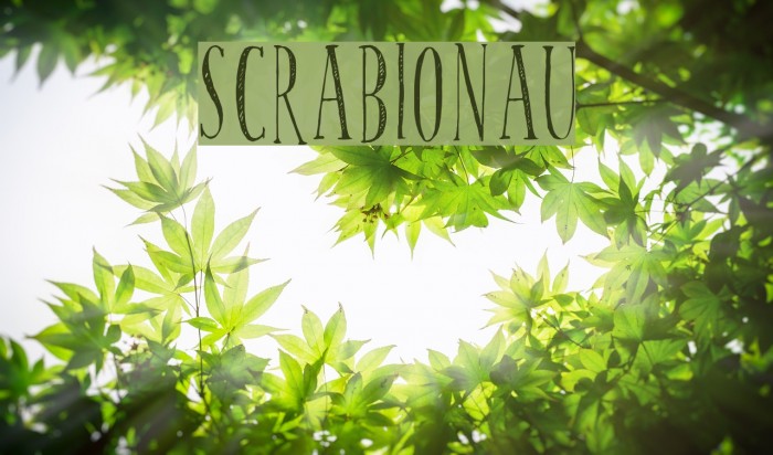 scrabionau Example 2