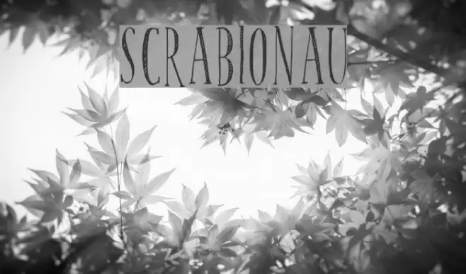 scrabionau Font examples