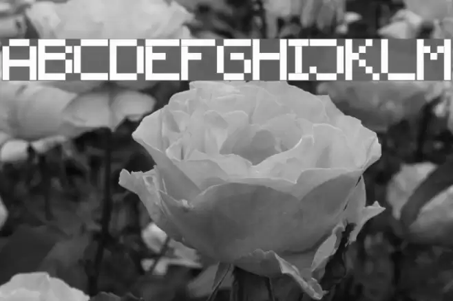 screensix Font examples