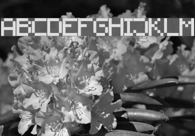 screensix Font examples