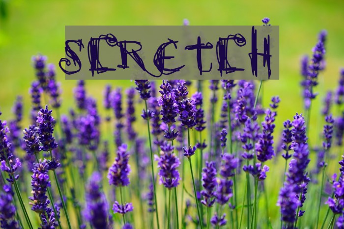 scretch Font examples