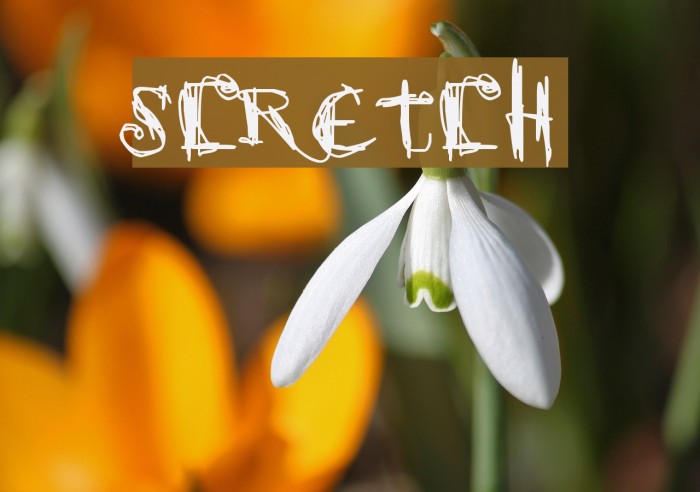 scretch Font examples