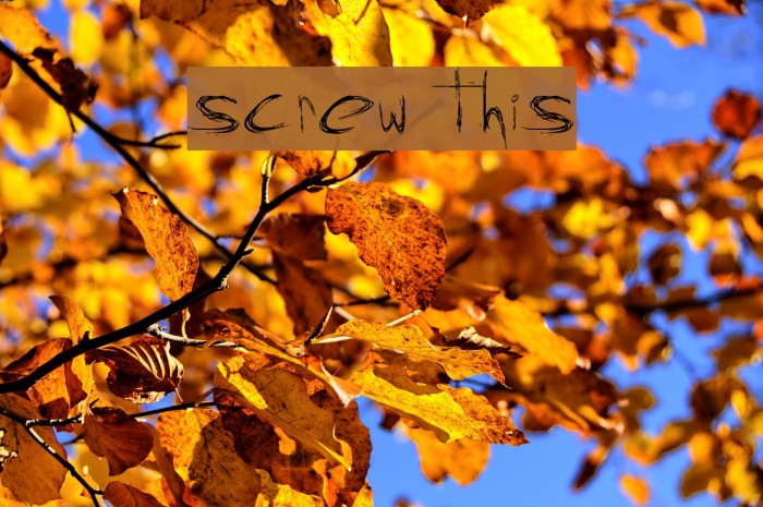 screw this Font examples